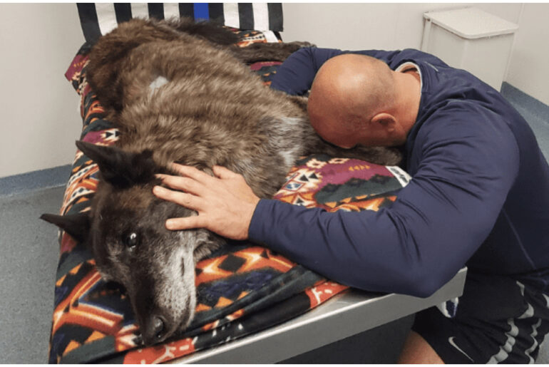 “He would have done anything for you”: Officer breaks down after losing his K9 partner and best friend