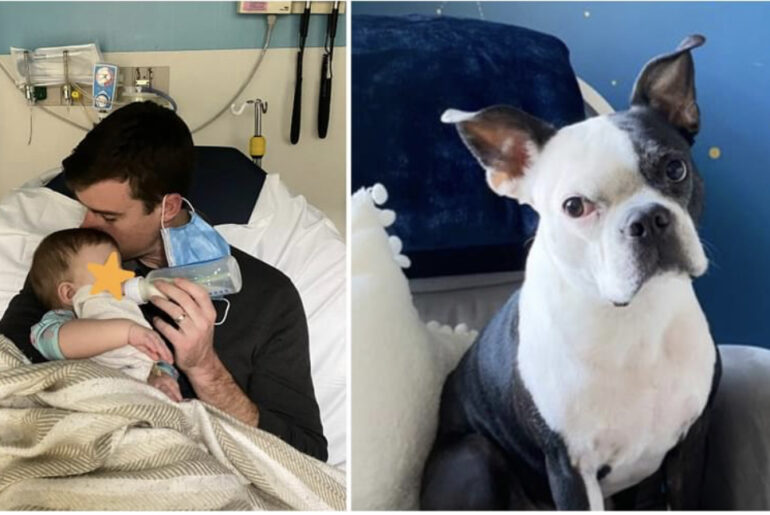 Dog saves baby girl’s life after she stopped breathing in the middle of the night