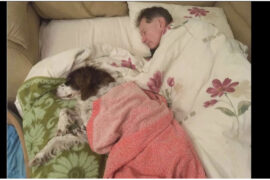 After several strokes, dog can’t walk to bedroom – so his family sleep beside him on the couch every night