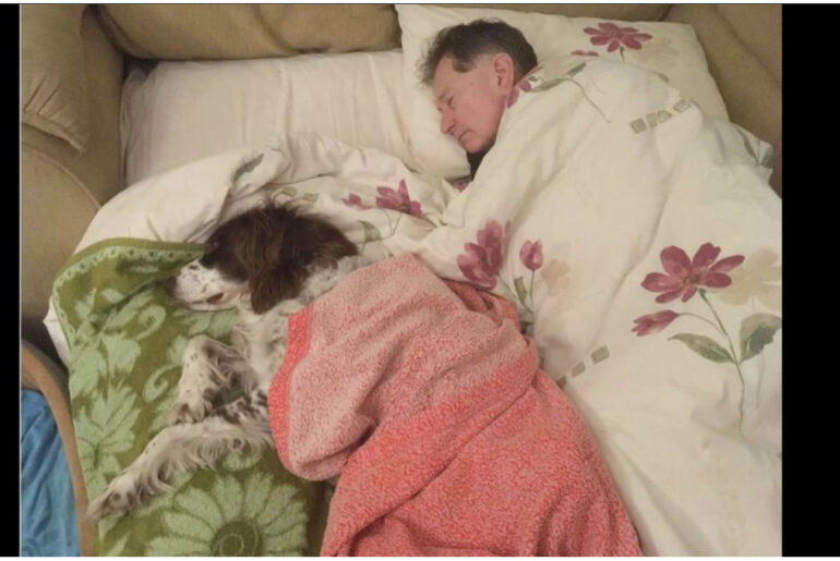 After several strokes, dog can’t walk to bedroom – so his family sleep beside him on the couch every night