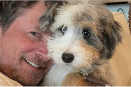 Michael J. Fox reveals new, adorable pet dog named Blue: ‘Welcome to your new home!’