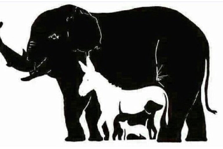 How Many Animals Can You Find? Most Of The People Can’t Find More Than 3…