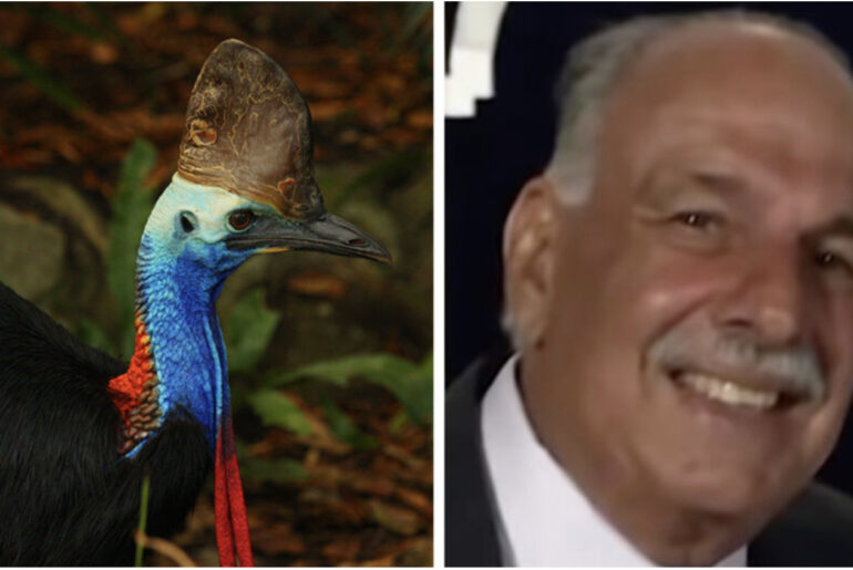 Man approaches world’s most dangerous bird – his 911 call is bone-chilling