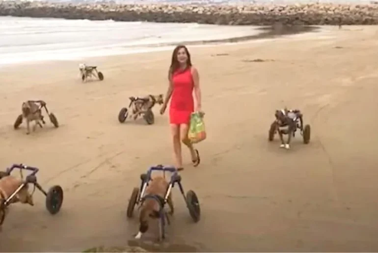 Woman takes 18 disabled dogs to beach and they melts hearts when they start running