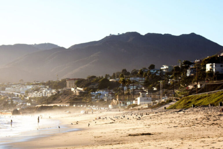 ‘Horrifyingly goofy’ creature washes onto Southern California beach