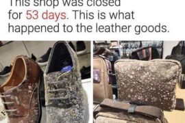 19 Unexpected Replies to ‘What If…’ Questions