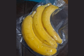 A Glimpse into History