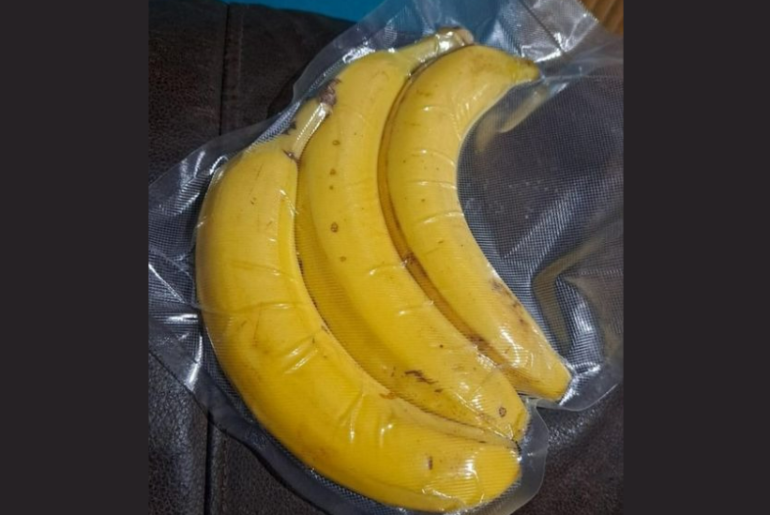 A Glimpse into History