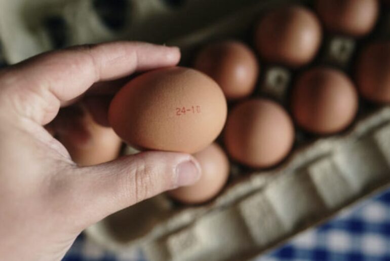 The secret meanings behind the codes on egg cartons