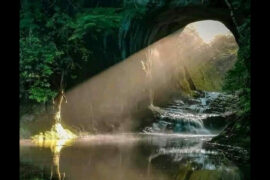 This beautiful picture of nature has one naughty detail