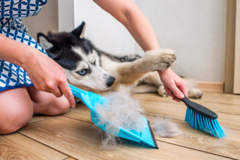 8 subtle signs that a person does not clean their home