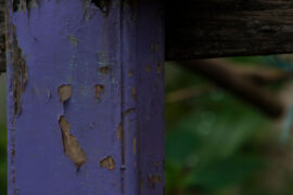 If you see a purple fence post, here’s what it could mean